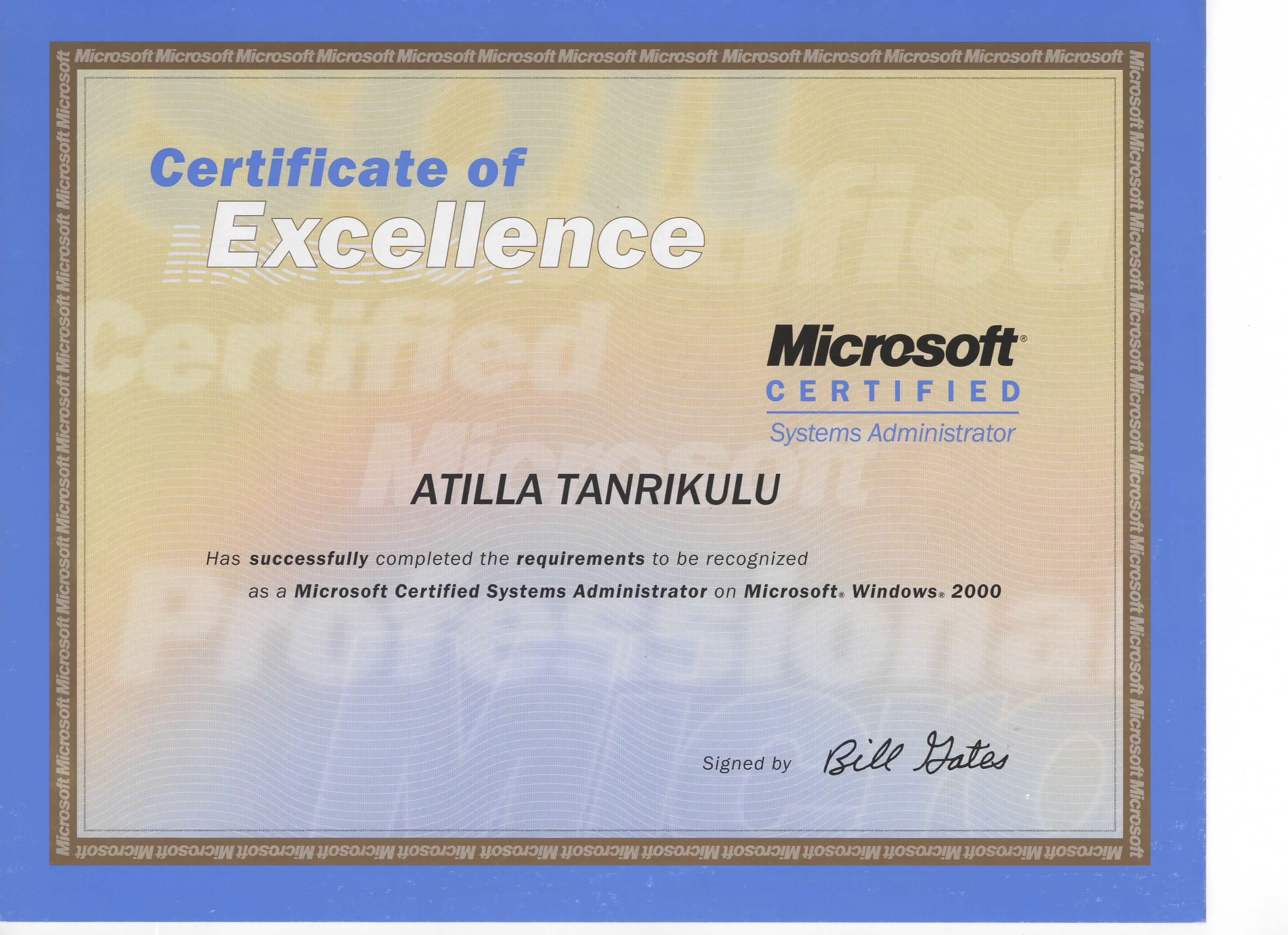 Atilla Tanrikulu Technology Product Development — FinTech (Acquiring